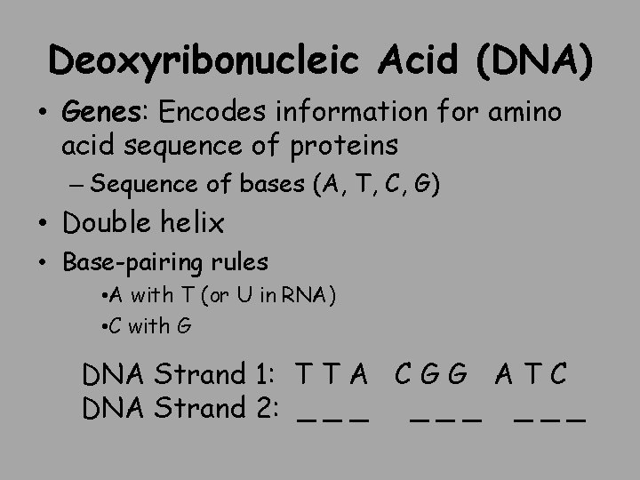 Deoxyribonucleic Acid (DNA) • Genes: Encodes information for amino acid sequence of proteins –