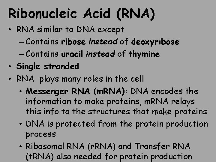 Ribonucleic Acid (RNA) • RNA similar to DNA except – Contains ribose instead of
