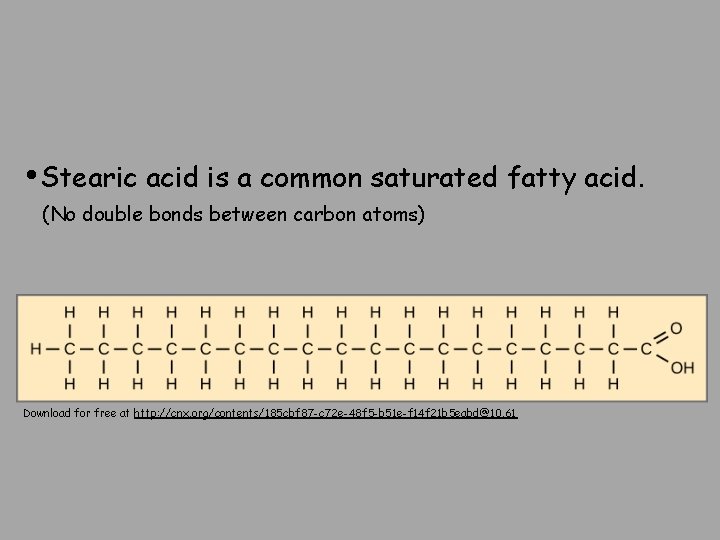  • Stearic acid is a common saturated fatty acid. (No double bonds between