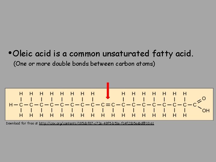  • Oleic acid is a common unsaturated fatty acid. (One or more double