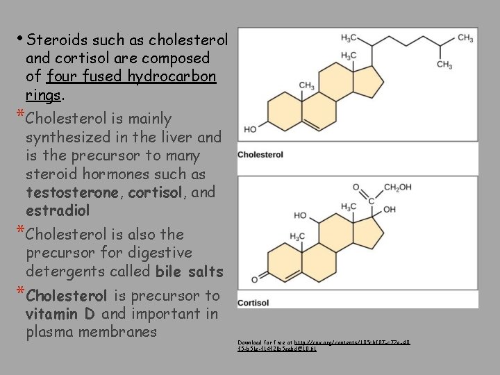  • Steroids such as cholesterol and cortisol are composed of four fused hydrocarbon
