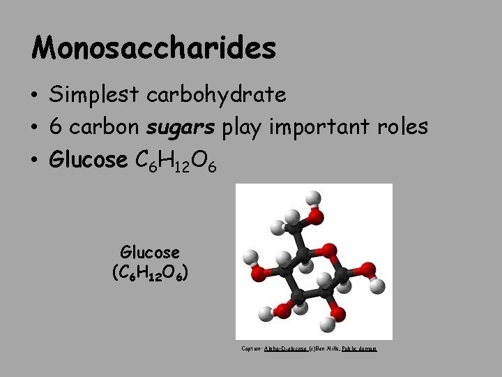 Monosaccharides • Simplest carbohydrate • 6 carbon sugars play important roles • Glucose C