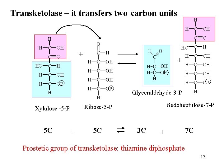 Transketolase – it transfers two-carbon units H H C OH C O HO C