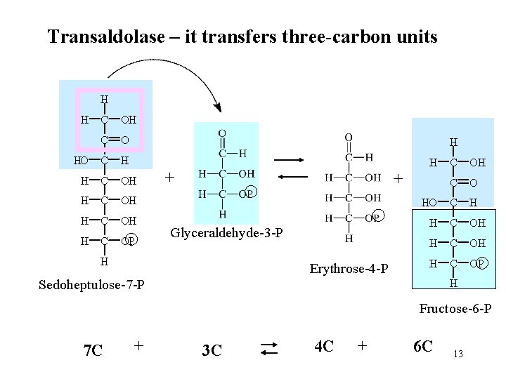Transaldolase – it transfers three-carbon units H H C O HO C H H