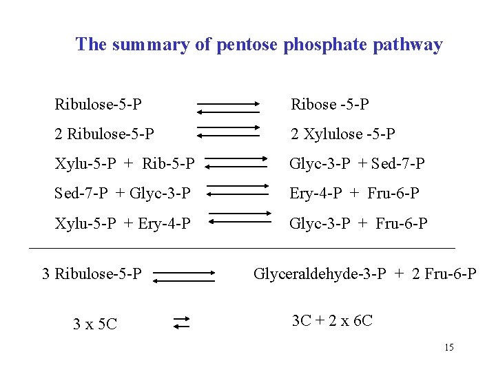 The summary of pentose phosphate pathway Ribulose-5 -P Ribose -5 -P 2 Ribulose-5 -P