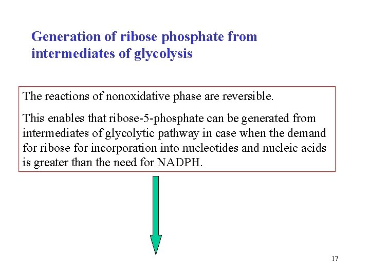 Generation of ribose phosphate from intermediates of glycolysis The reactions of nonoxidative phase are