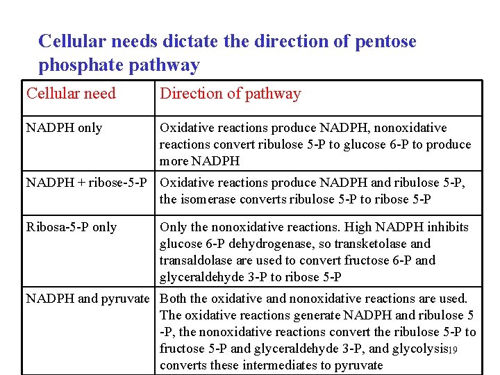 Cellular needs dictate the direction of pentose phosphate pathway Cellular need Direction of pathway