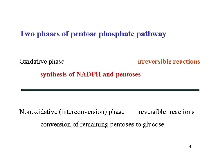 Two phases of pentose phosphate pathway Oxidative phase irreversible reactions synthesis of NADPH and