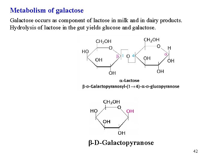 Metabolism of galactose Galactose occurs as component of lactose in milk and in dairy