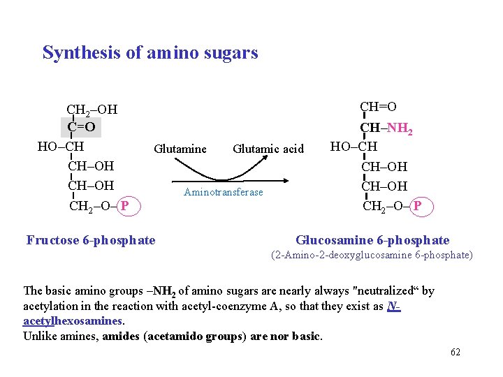 Synthesis of amino sugars CH 2–OH C=O HO–CH CH–OH CH 2–O– P Glutamine Fructose