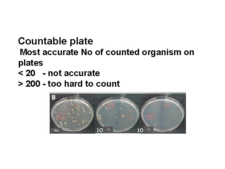 Countable plate Most accurate No of counted organism on plates < 20 - not