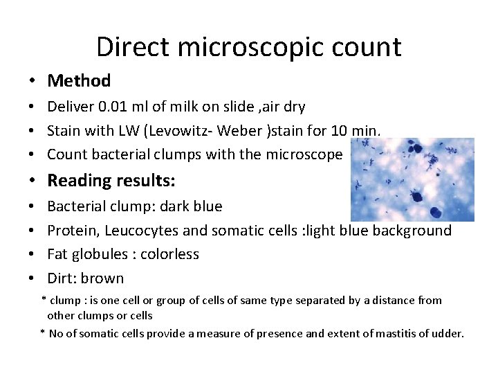 Direct microscopic count • Method • Deliver 0. 01 ml of milk on slide