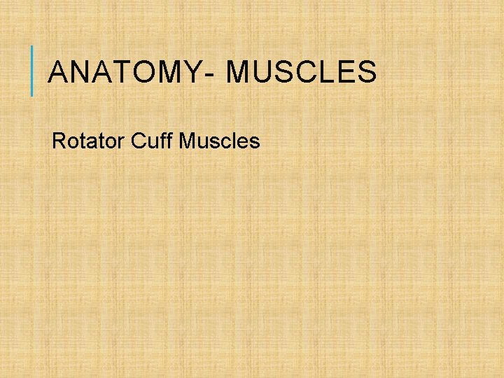 ANATOMY- MUSCLES Rotator Cuff Muscles 