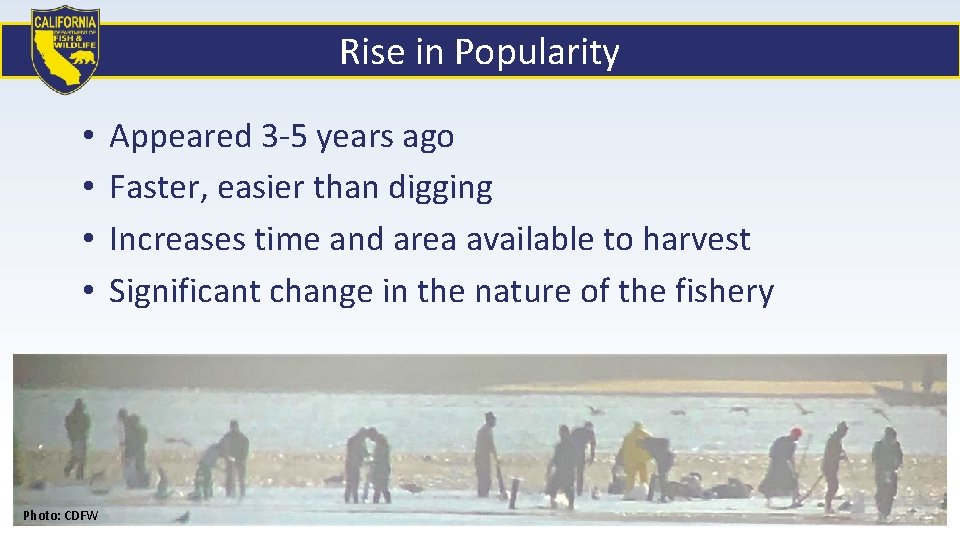 Rise in Popularity • • Photo: CDFW Appeared 3 -5 years ago Faster, easier