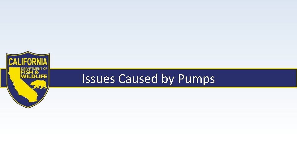 Issues Caused by Pumps 