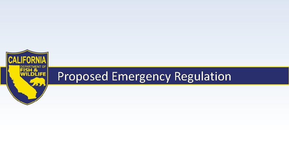 Proposed Emergency Regulation 
