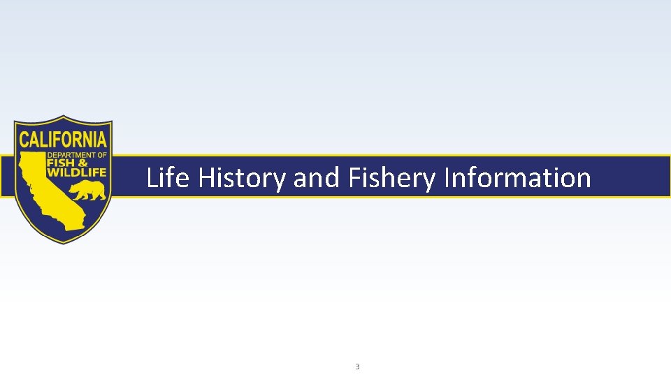 Life History and Fishery Information 3 