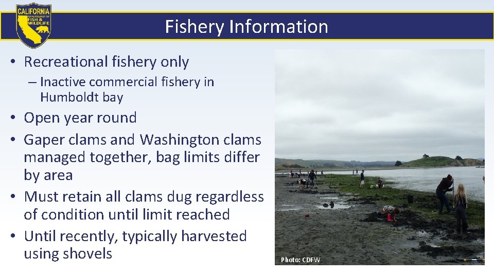 Fishery Information • Recreational fishery only – Inactive commercial fishery in Humboldt bay •