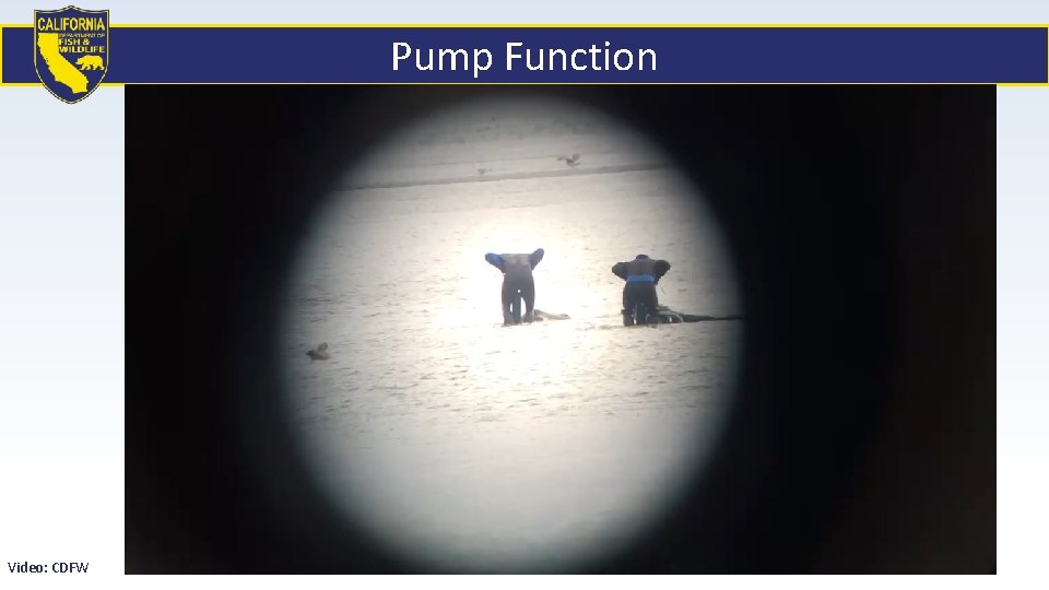 Pump Function Video: CDFW 