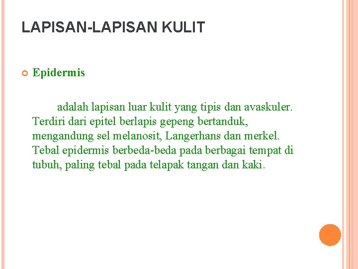 LAPISAN-LAPISAN KULIT Epidermis adalah lapisan luar kulit yang tipis dan avaskuler. Terdiri dari epitel