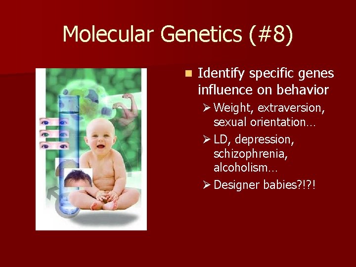 Molecular Genetics (#8) n Identify specific genes influence on behavior Ø Weight, extraversion, sexual