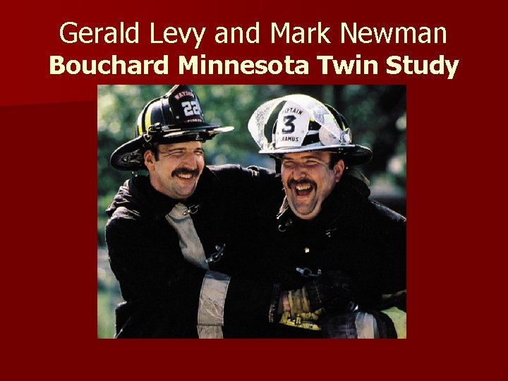 Gerald Levy and Mark Newman Bouchard Minnesota Twin Study 