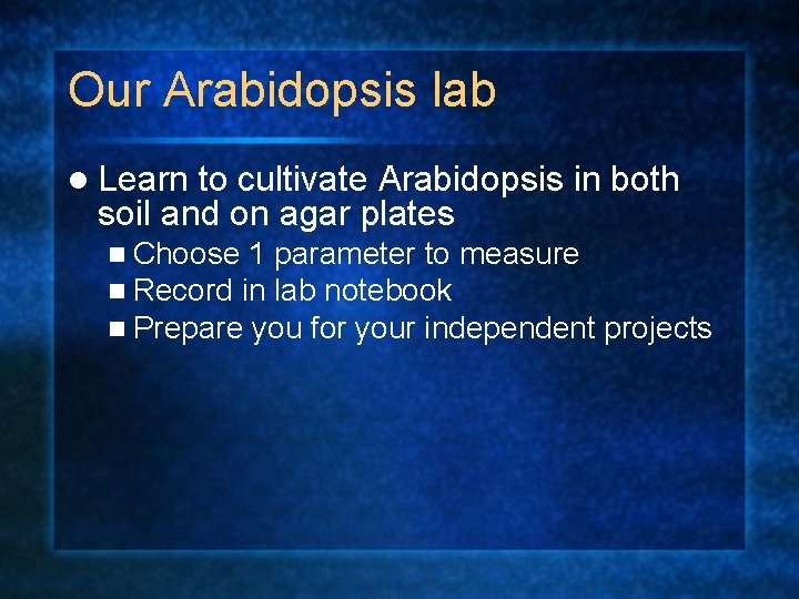 Our Arabidopsis lab l Learn to cultivate Arabidopsis in both soil and on agar