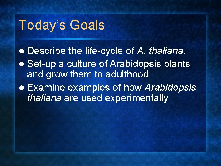 Today’s Goals l Describe the life-cycle of A. thaliana. l Set-up a culture of