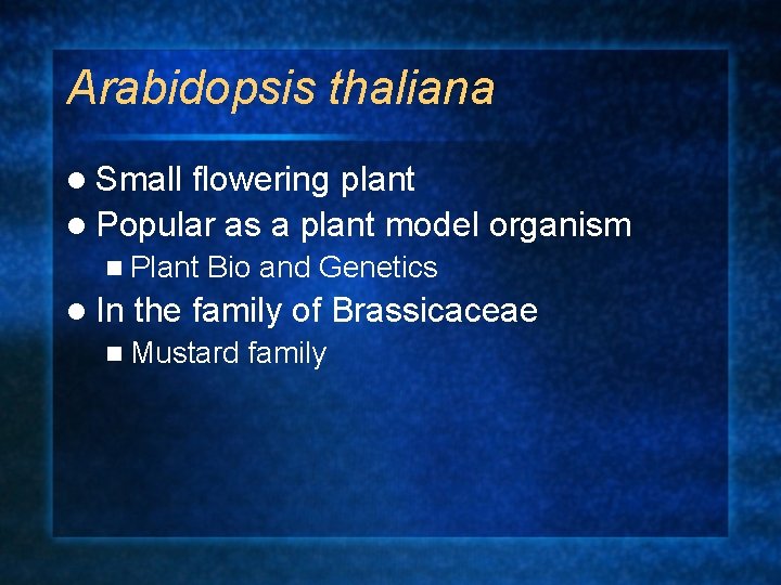 Arabidopsis thaliana l Small flowering plant l Popular as a plant model organism n