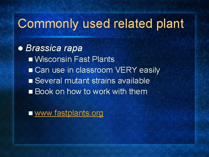 Commonly used related plant l Brassica rapa n Wisconsin Fast Plants n Can use