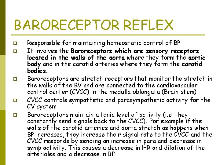 BARORECEPTOR REFLEX p p p Responsible for maintaining homeostatic control of BP It involves BARORECEPTOR REFLEX p p p Responsible for maintaining homeostatic control of BP It involves