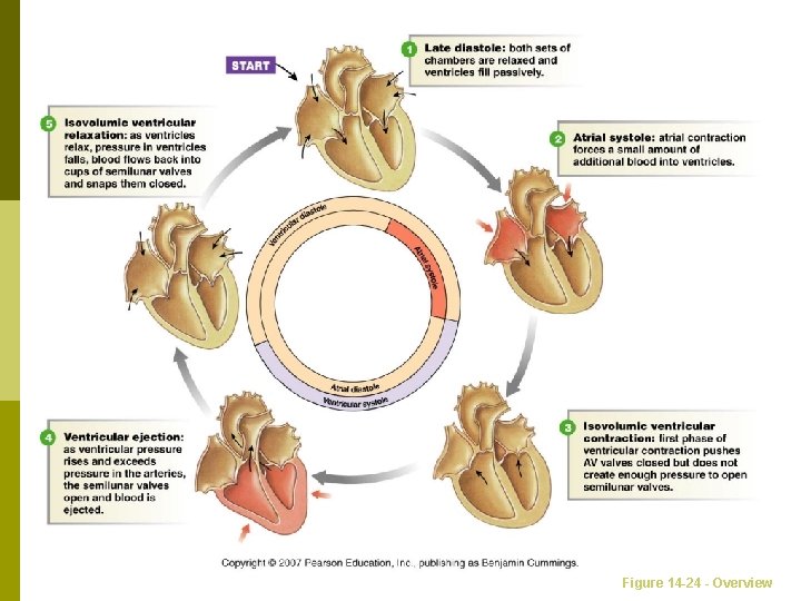 Figure 14 -24 - Overview  Figure 14 -24 - Overview