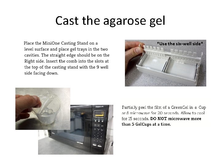 Cast the agarose gel *Use the six-well side* 