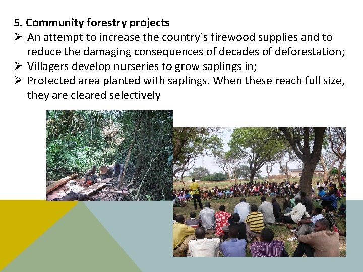 5. Community forestry projects Ø An attempt to increase the country´s firewood supplies and