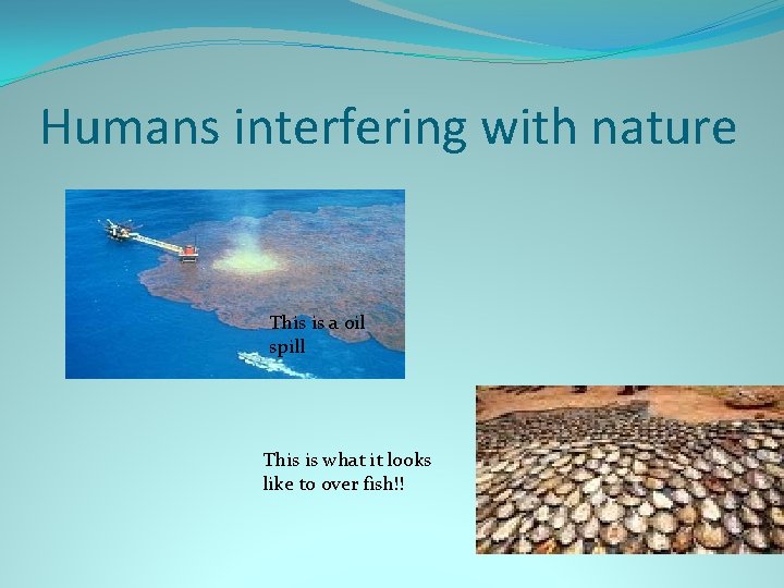 Humans interfering with nature This is a oil spill This is what it looks