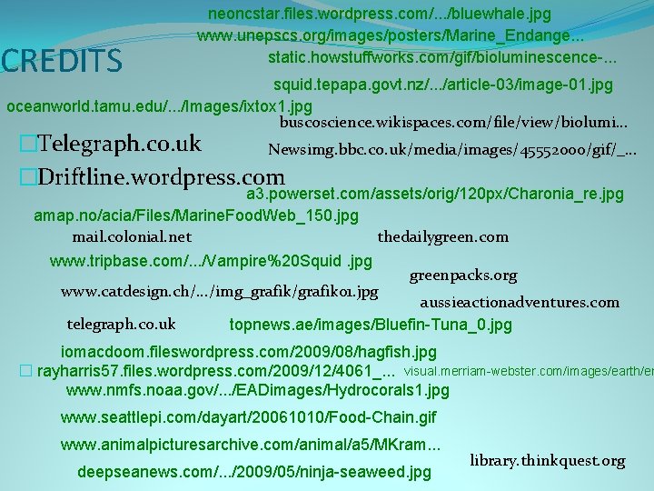 CREDITS neoncstar. files. wordpress. com/. . . /bluewhale. jpg www. unepscs. org/images/posters/Marine_Endange. . .