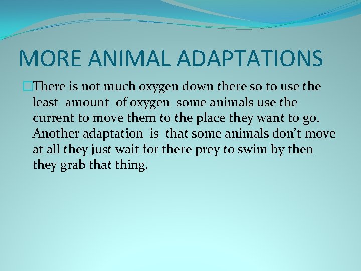 MORE ANIMAL ADAPTATIONS �There is not much oxygen down there so to use the