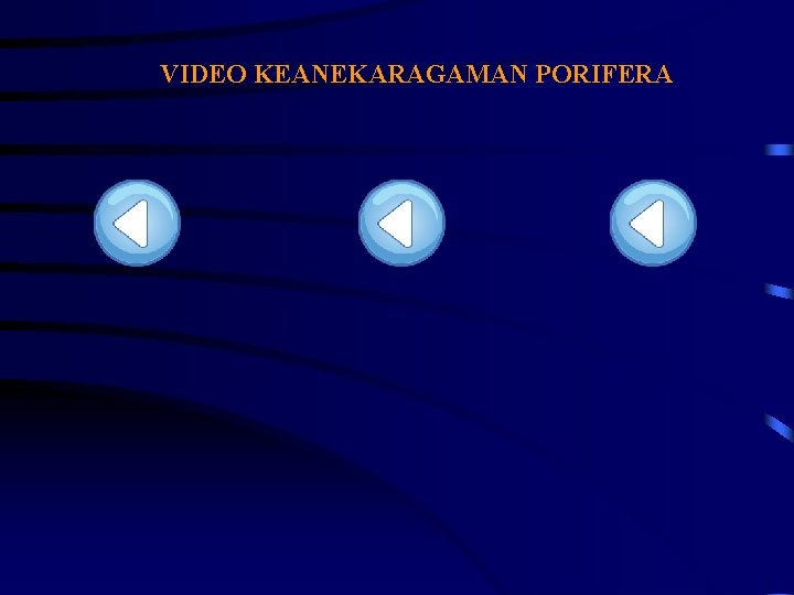 VIDEO KEANEKARAGAMAN PORIFERA VIDEO KEANEKARAGAMAN PORIFERA