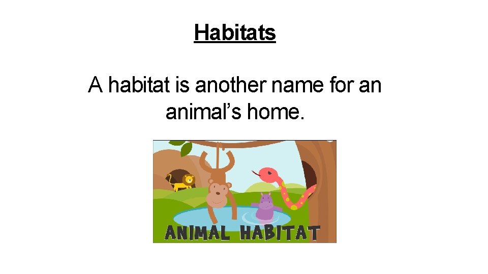 Habitats A habitat is another name for an animal’s home. 