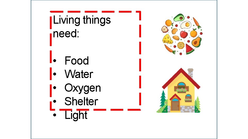 Living things need: • • • Food Water Oxygen Shelter Light 