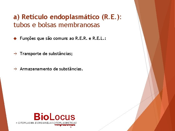 a) Retículo endoplasmático (R. E. ): tubos e bolsas membranosas Funções que são comuns