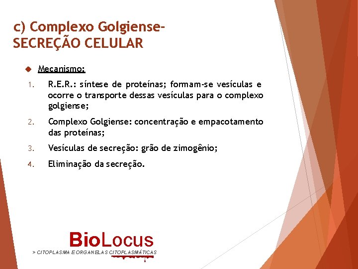 c) Complexo Golgiense. SECREÇÃO CELULAR Mecanismo: 1. R. E. R. : síntese de proteínas;