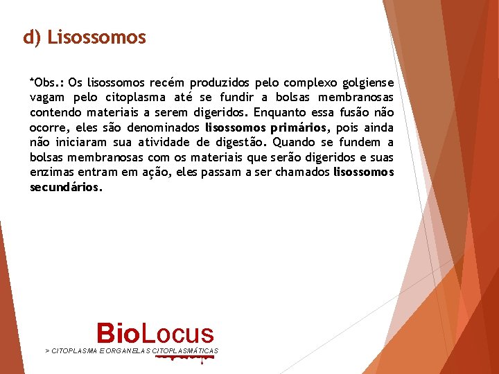 d) Lisossomos *Obs. : Os lisossomos recém produzidos pelo complexo golgiense vagam pelo citoplasma