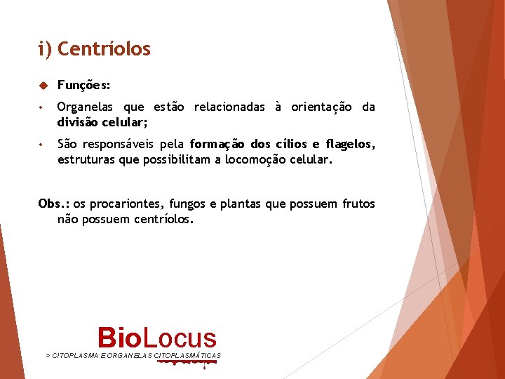 i) Centríolos Funções: • Organelas que estão relacionadas à orientação da divisão celular; •