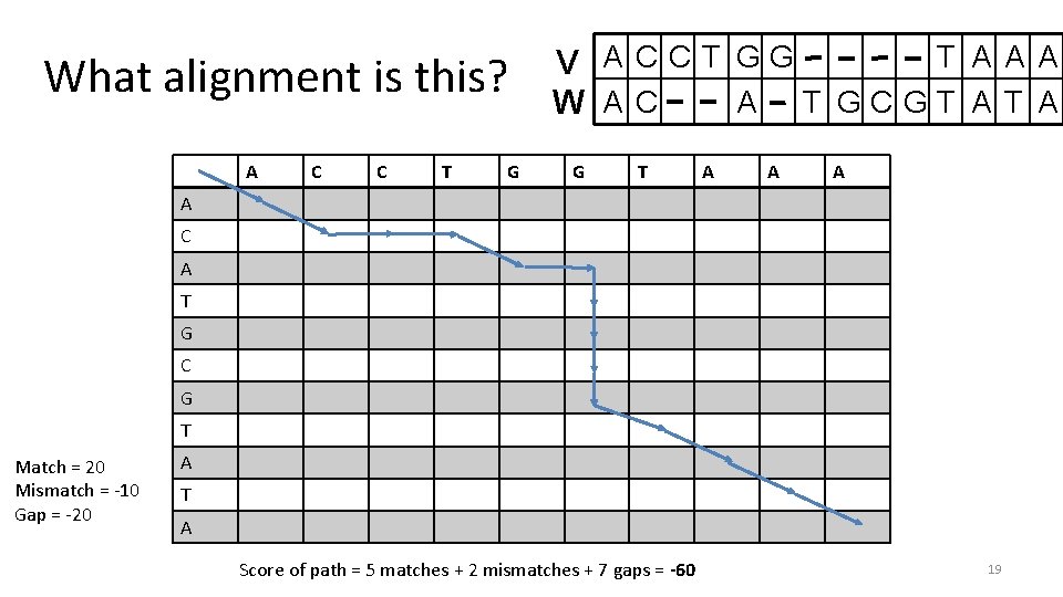 What alignment is this? A C C T G T A A A V