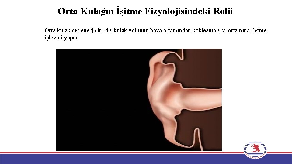 Orta Kulağın İşitme Fizyolojisindeki Rolü Orta kulak, ses enerjisini dış kulak yolunun hava ortamından