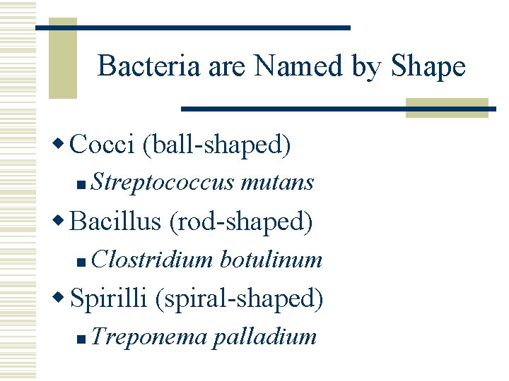 Bacteria are Named by Shape w Cocci (ball-shaped) n Streptococcus mutans w Bacillus (rod-shaped)