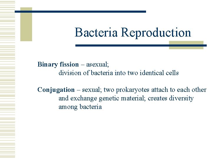 Bacteria Reproduction Binary fission – asexual; division of bacteria into two identical cells Conjugation