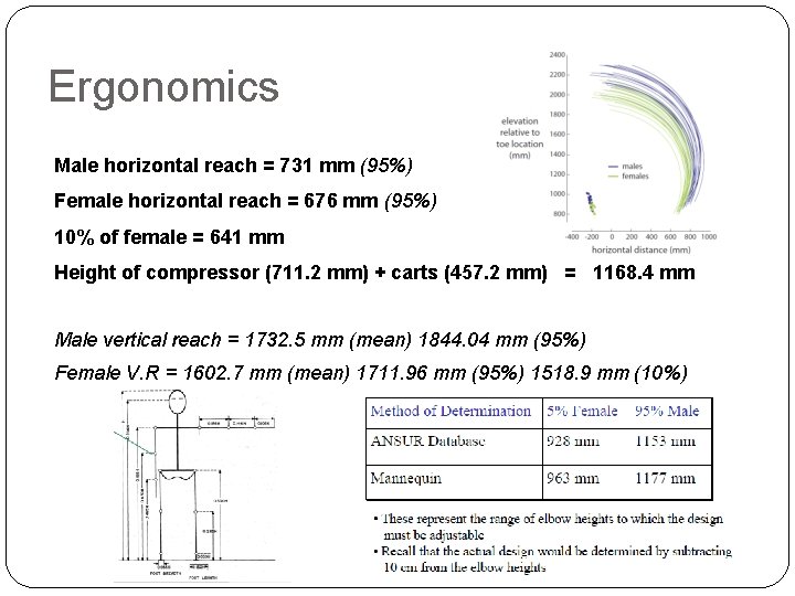 Ergonomics Male horizontal reach = 731 mm (95%) Female horizontal reach = 676 mm