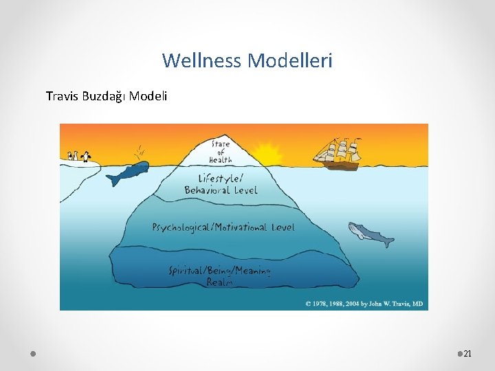 Wellness Modelleri Travis Buzdağı Modeli 21 